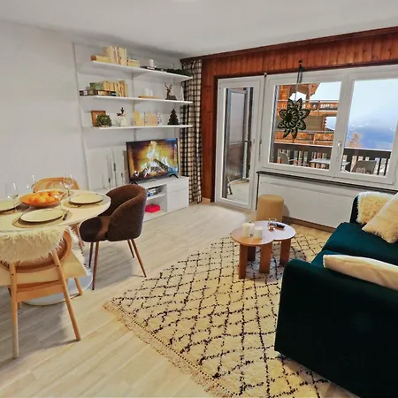 Chaleureux Proche Des Pistes De Appartement *