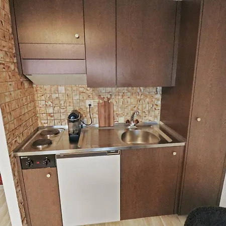 Chaleureux Proche Des Pistes De Appartement Nendaz